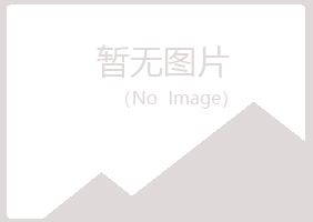 陆丰冰夏能源有限公司